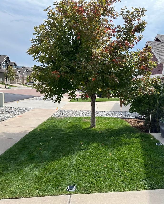 Fertilizer & Weed Control